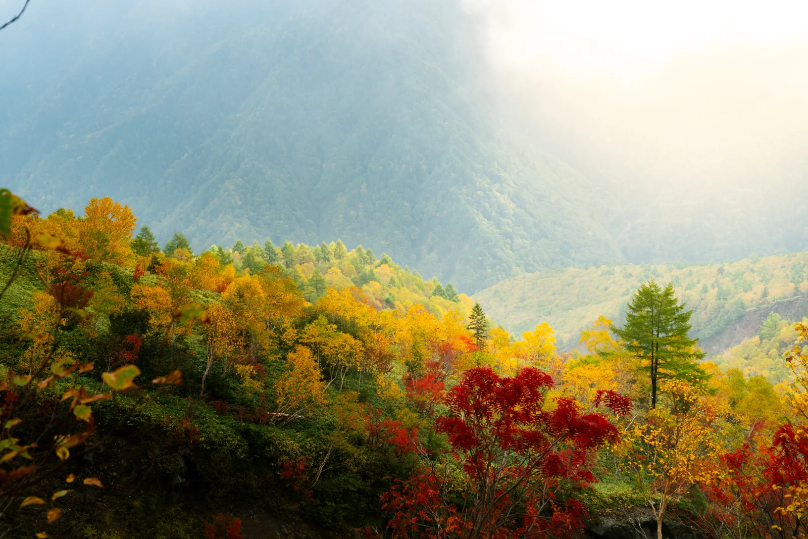 紅葉の山並み